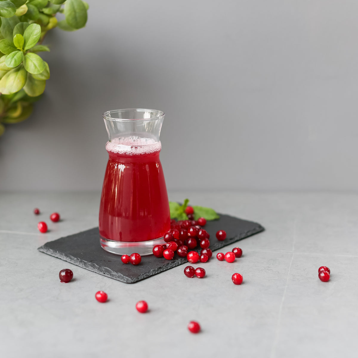 Russian Cranberry Mors [ Homemade ]
